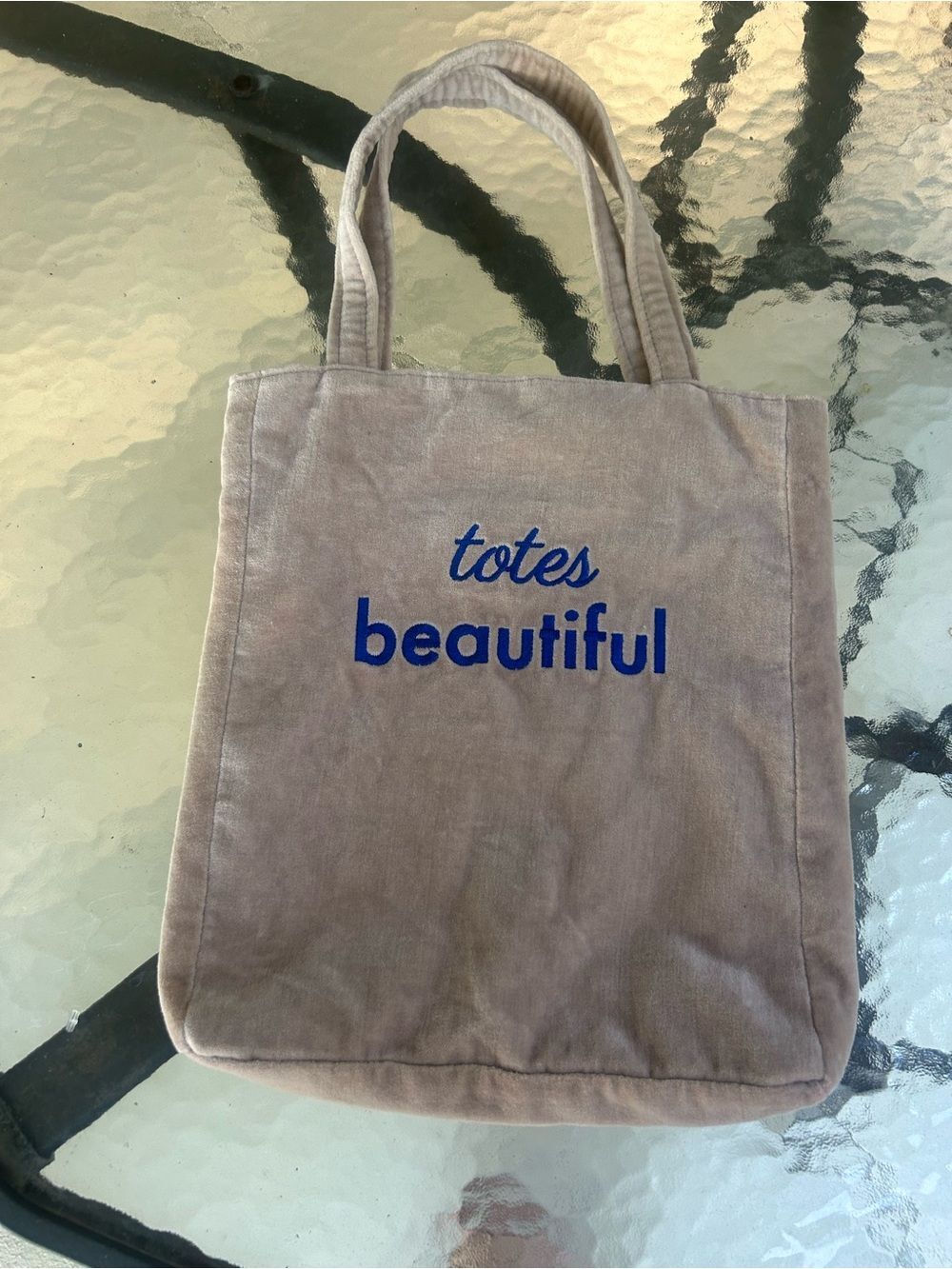 🤩 Beige Velour Tote Bag with Blue Embroidery